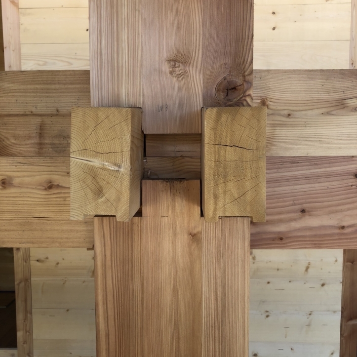 Berglodge Goms – Bauen mit Holz