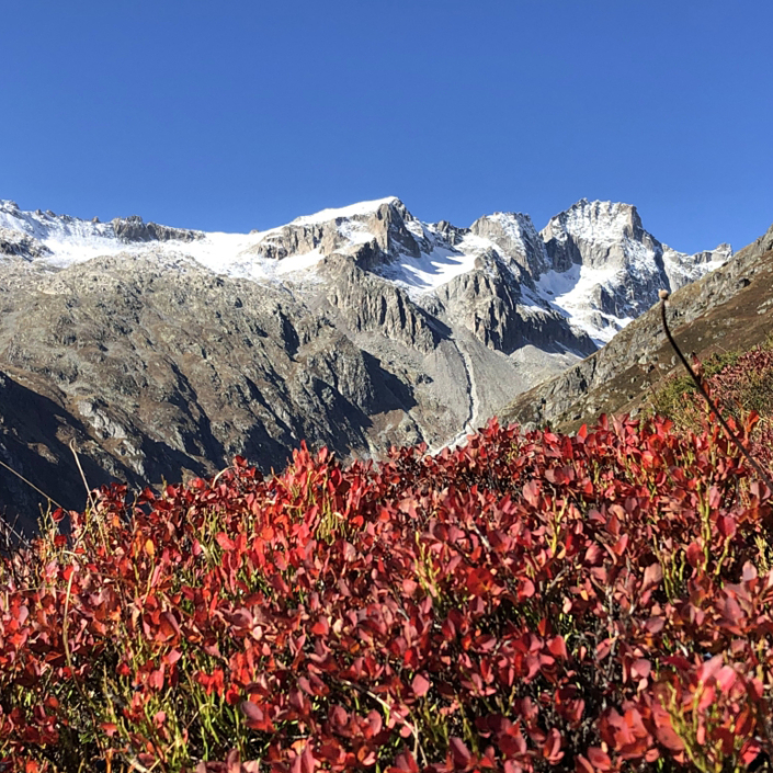 Wandern im Goms