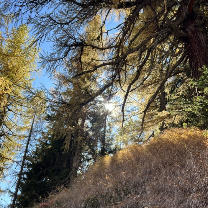 IMG_5746 Berglodge Goms